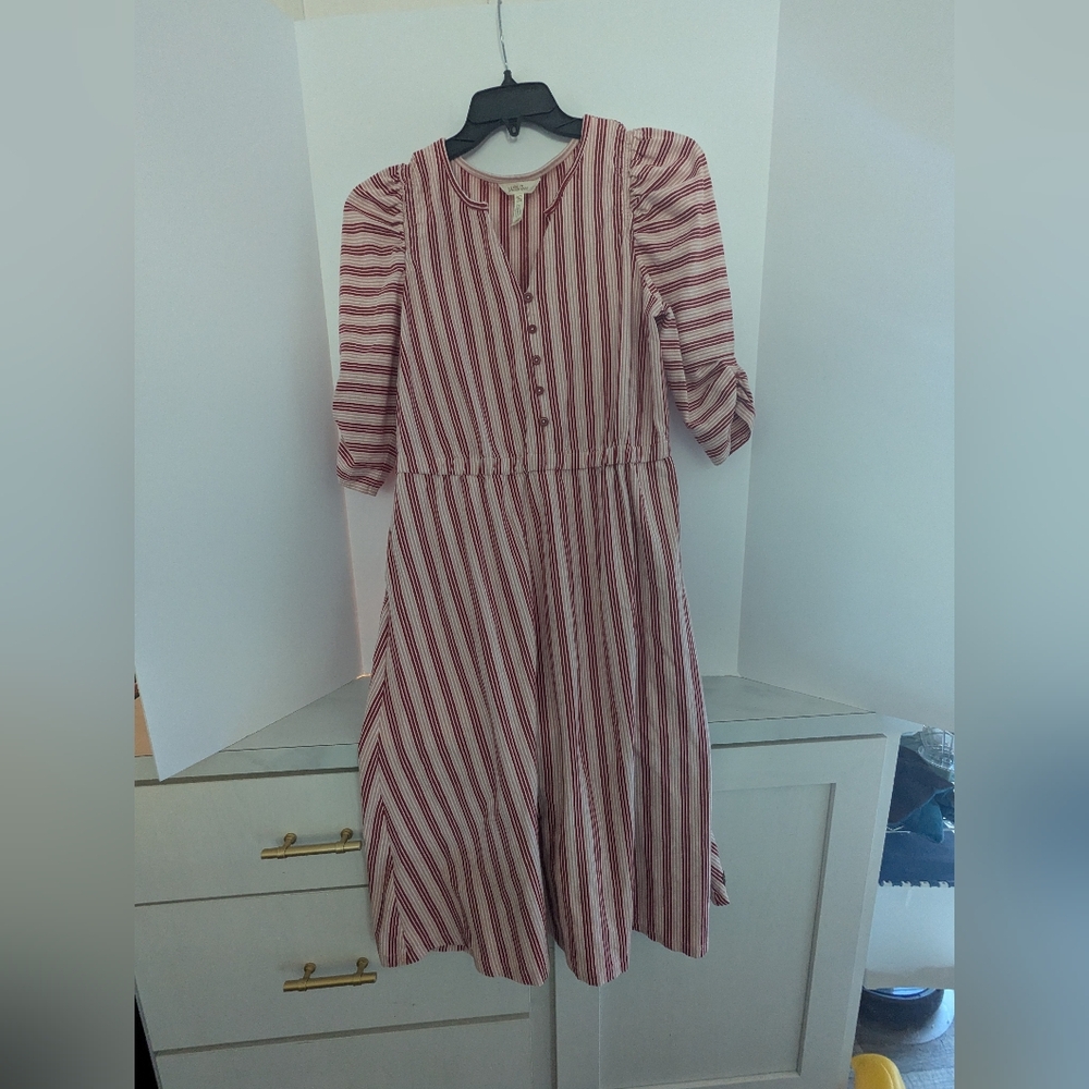 NWOT Matilda Jane Women's Dress Size Medium.